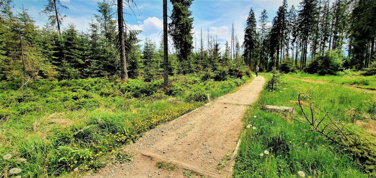 Eco Domek Z Duzym Ogrodem I Widokiem Murzasichle Exteriör bild